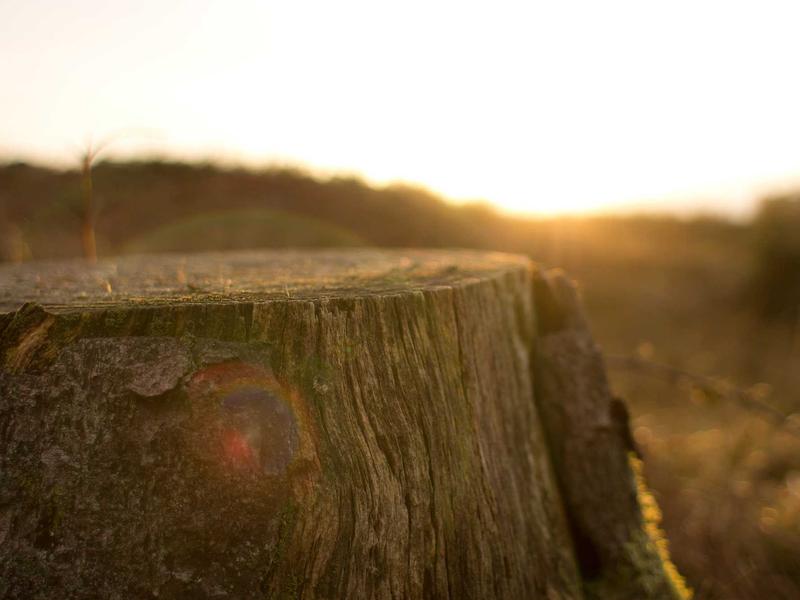 sudoku lite version screenshot 2